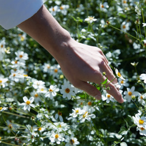 Replica Springtime in a Park - Eau de Toilette Replica Springtime in a Park - Eau de Toilette
